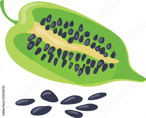 Sesame seed cartoon icon. Raw cooking ingridient