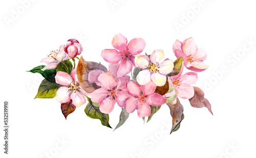 Spring cherry blossom - bouquet of pink sakura or apple flowers. Floral watercolor for springtime card design