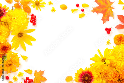 autumn flowers and leaves isolated on white background