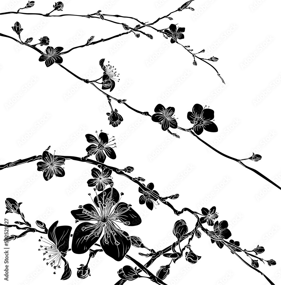 Naklejka premium Cherry Blossom Flowers Background Pattern