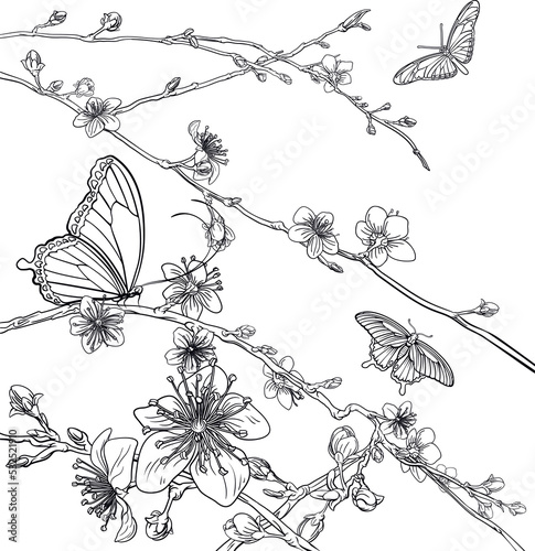 Butterflies Cherry Peach Bl...