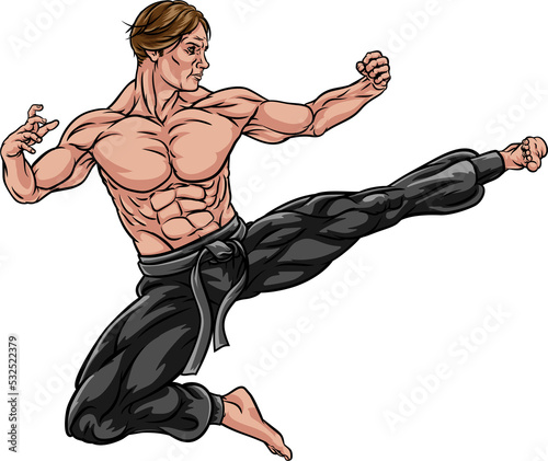 Karate Kung Fu Flying Kick ...