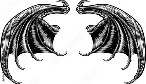 Bat or Dragon Wings
