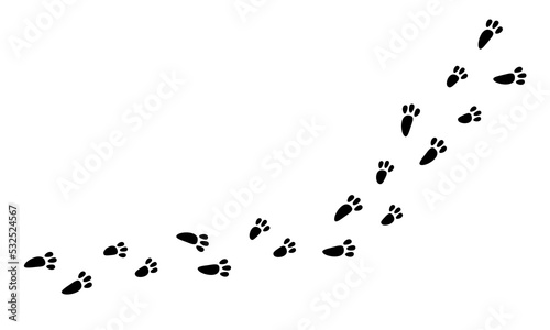 Rabbit footprint black graphic print. Simple vector illustration, hare foot trace, walk on snow, wild animal path.