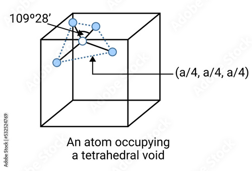 An atom occupying a tetrahedral void.