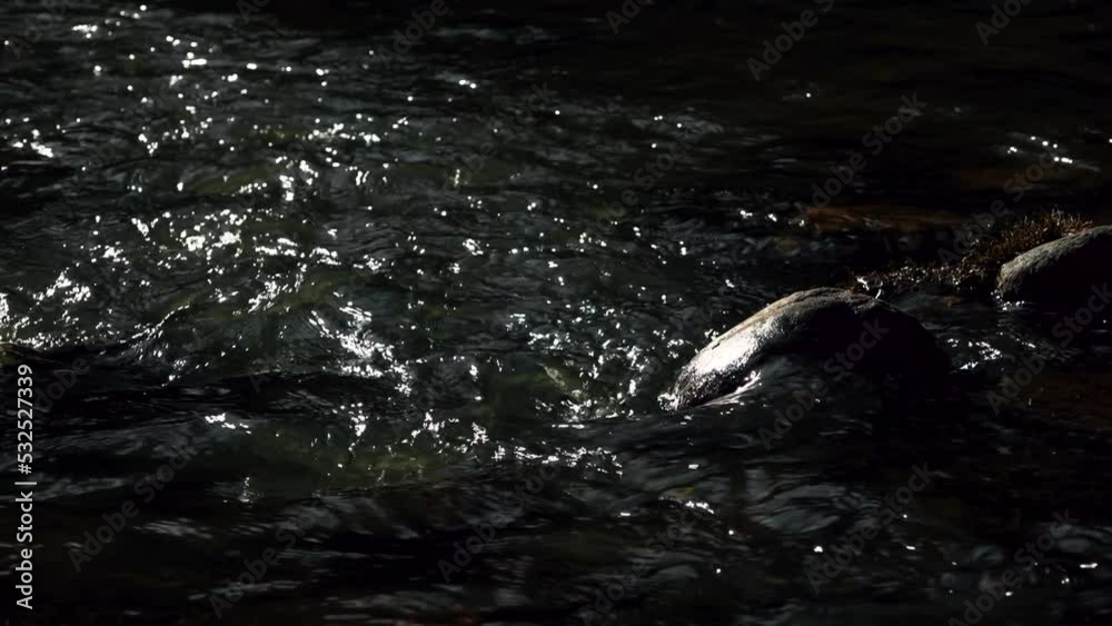 Dark waters in the river. A flowing river with dark waters