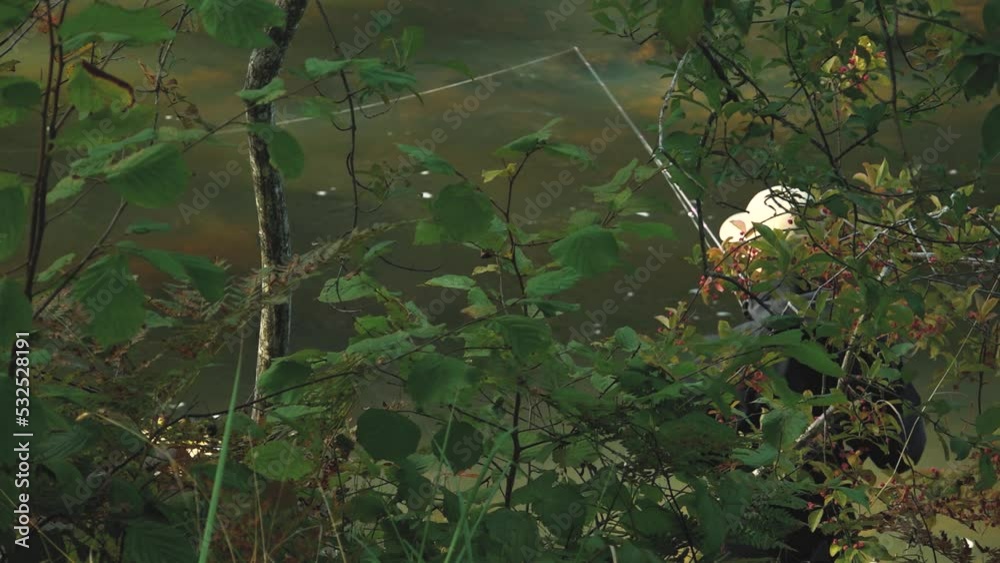 Dark waters in the river. A flowing river with dark waters Dark waters in the river. A flowing river with dark waters