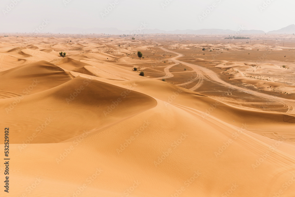 Sand dunes in the United Arab Emirates - obrazy, fototapety, plakaty 