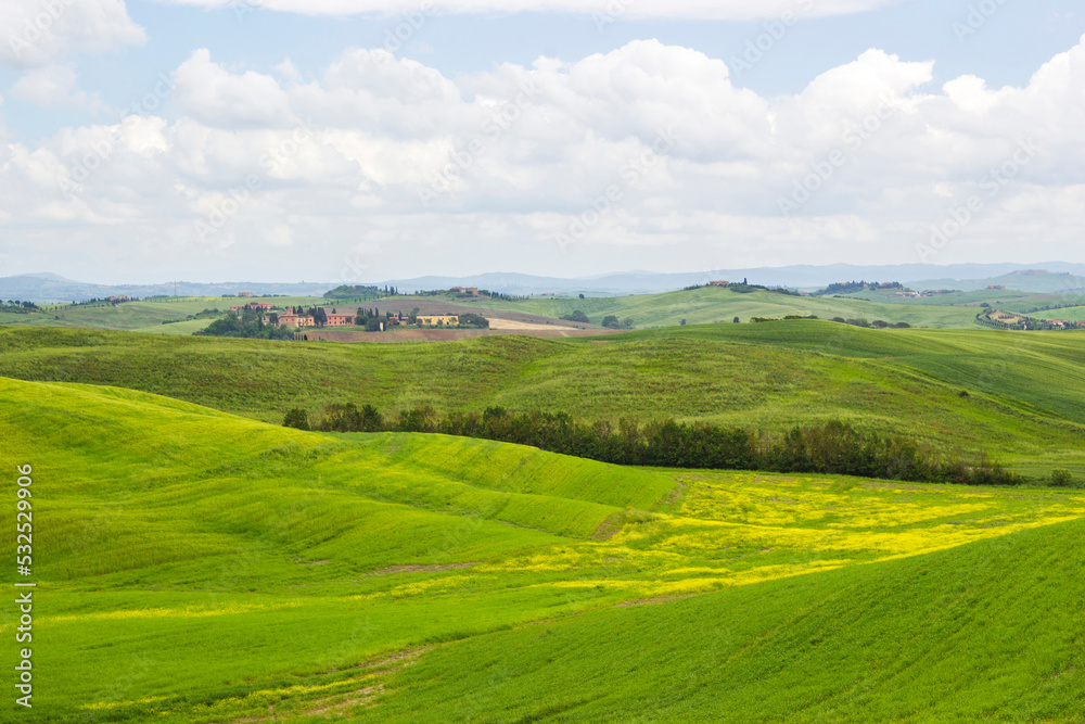 Fototapeta premium Green typical tuscan landscape in spring time