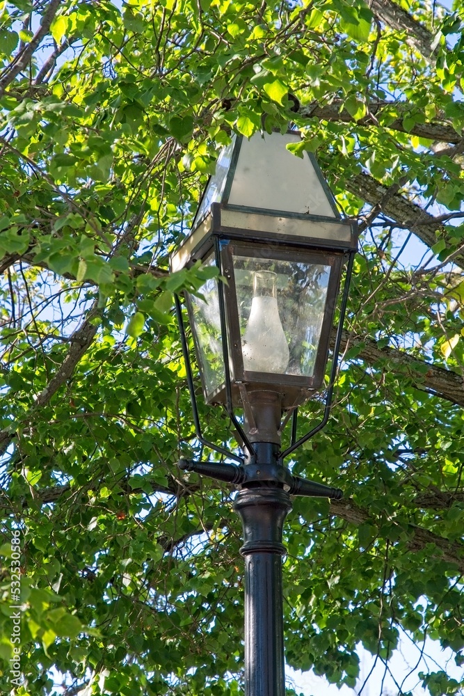 Street light with glass chimney nestled under street light with glass chimney nestled under deciduous tree.