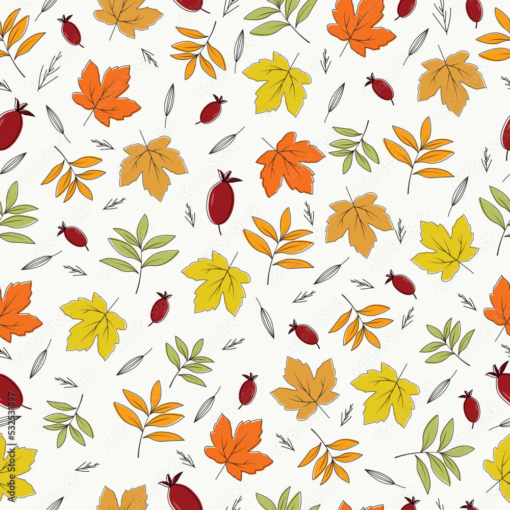 Hand drawn autumn leaf collection patterns collection