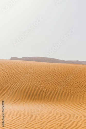 Desert in the United Arab Emirates