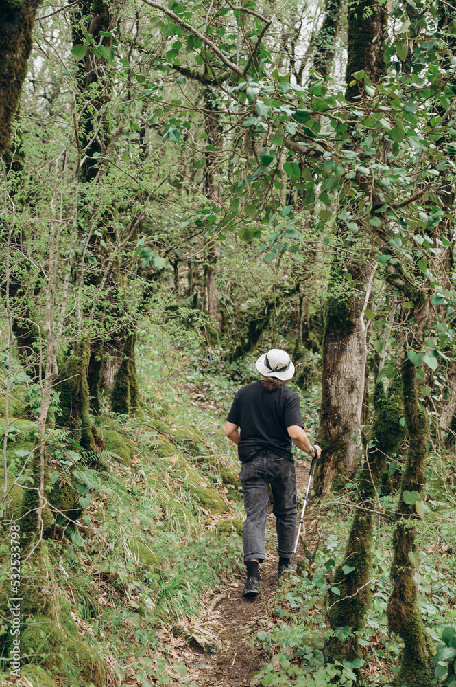Anonymous hiker walking in forest Anonymous hiker walking in forest