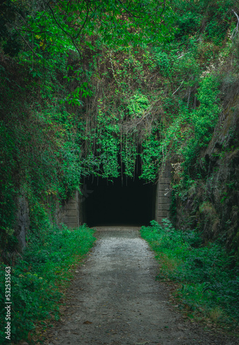 Tunnel to the mistery photo