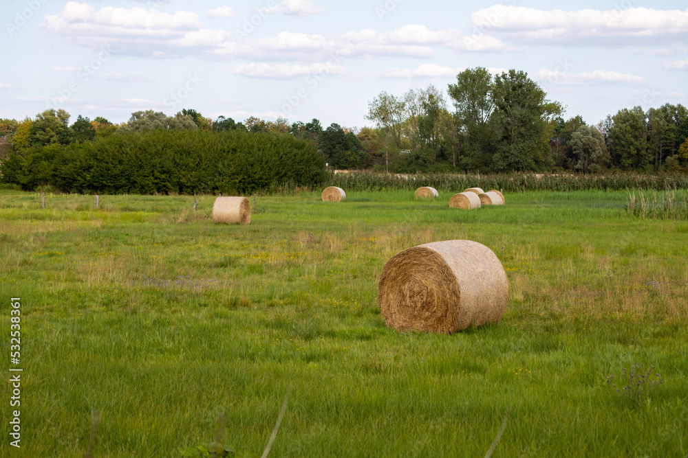 Hay bales on a meadow in September