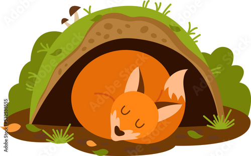 Sleeping fox in the burrow. Vector illustration