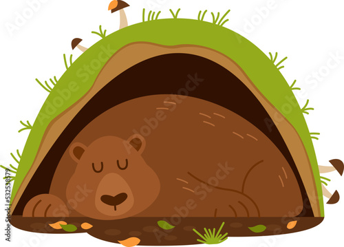 Sleeping bear in the burrow. Vector illustration