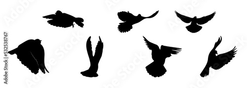 Doves pigeons in flight, different pack of bird silhouettes, isolated vector