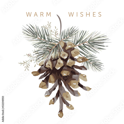 Christmas greeting card, text Warm Wishes, white background. Winter nature. Green twigs, pine cone. Vector illustration. Poster design  template. Xmas holidays