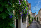 Zielone pnącza i fioletowe kwiaty na murach i fasadach domów. Wąska prowansalska uliczka, w tle fortyfikacje i mury obronne.