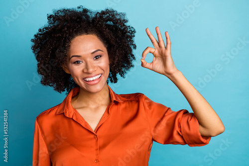 Photo of cheerful lady arm fingers demonstrate okey symbol approve isolated on blue color background