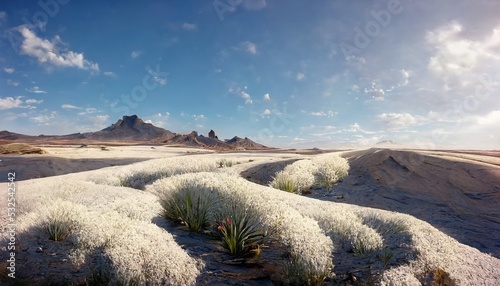 An illustration of a field of vibrant flowers, taking inspiration from the flowering desert in south america. photo