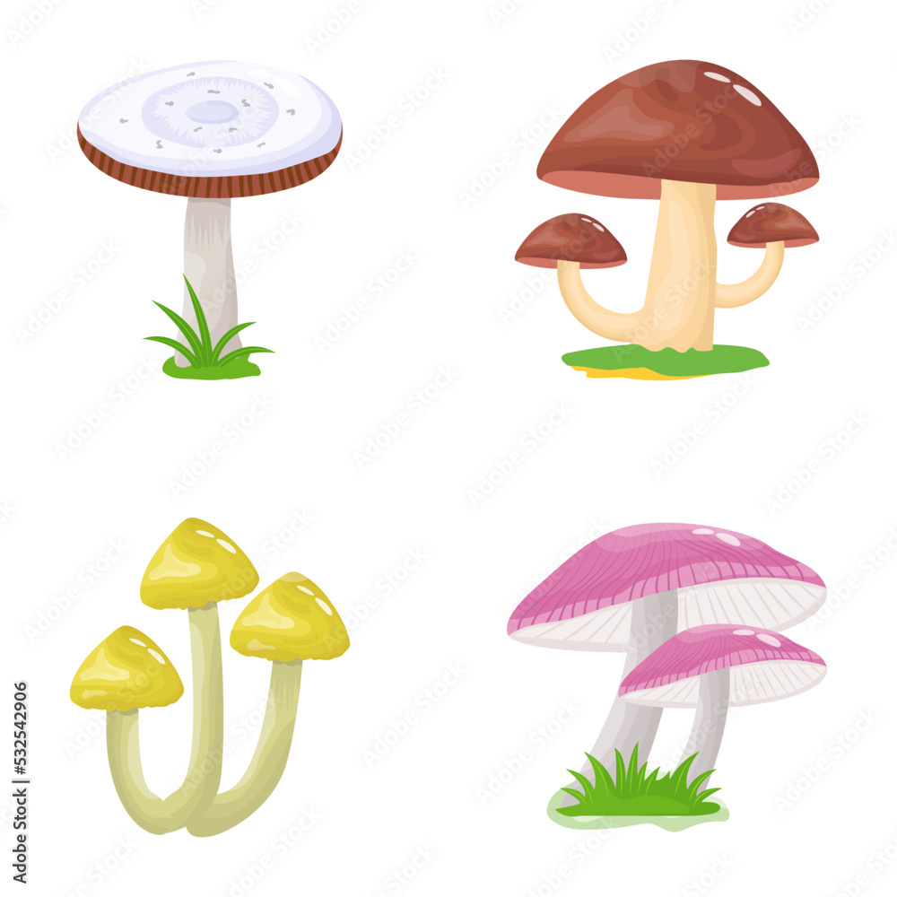 A flat illustrative vector of mushroom 