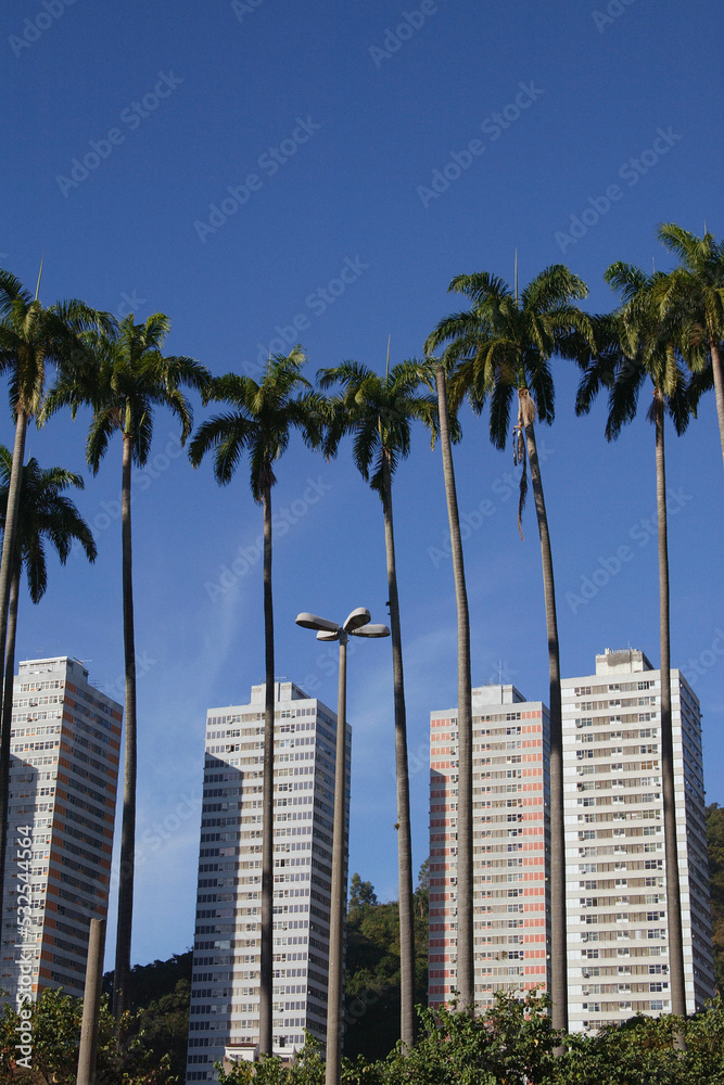 Royal Palms Royal Palms