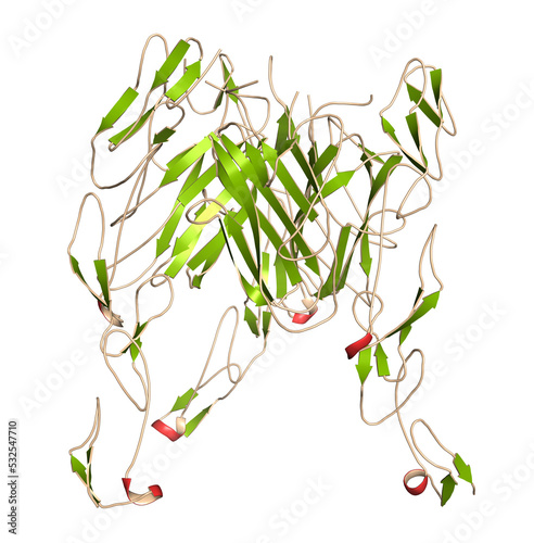 Slika na platnu OX40-OX40L complex (extracellular domains)