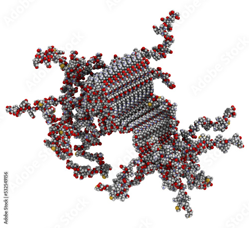 Alpha-synuclein fibril structure, determined by solid-state NMR. Thought to play a role in diseases including Parkinson's disease and dementia with Lewy bodies. photo