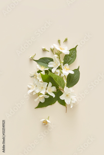 Jasmine flowers over white background.