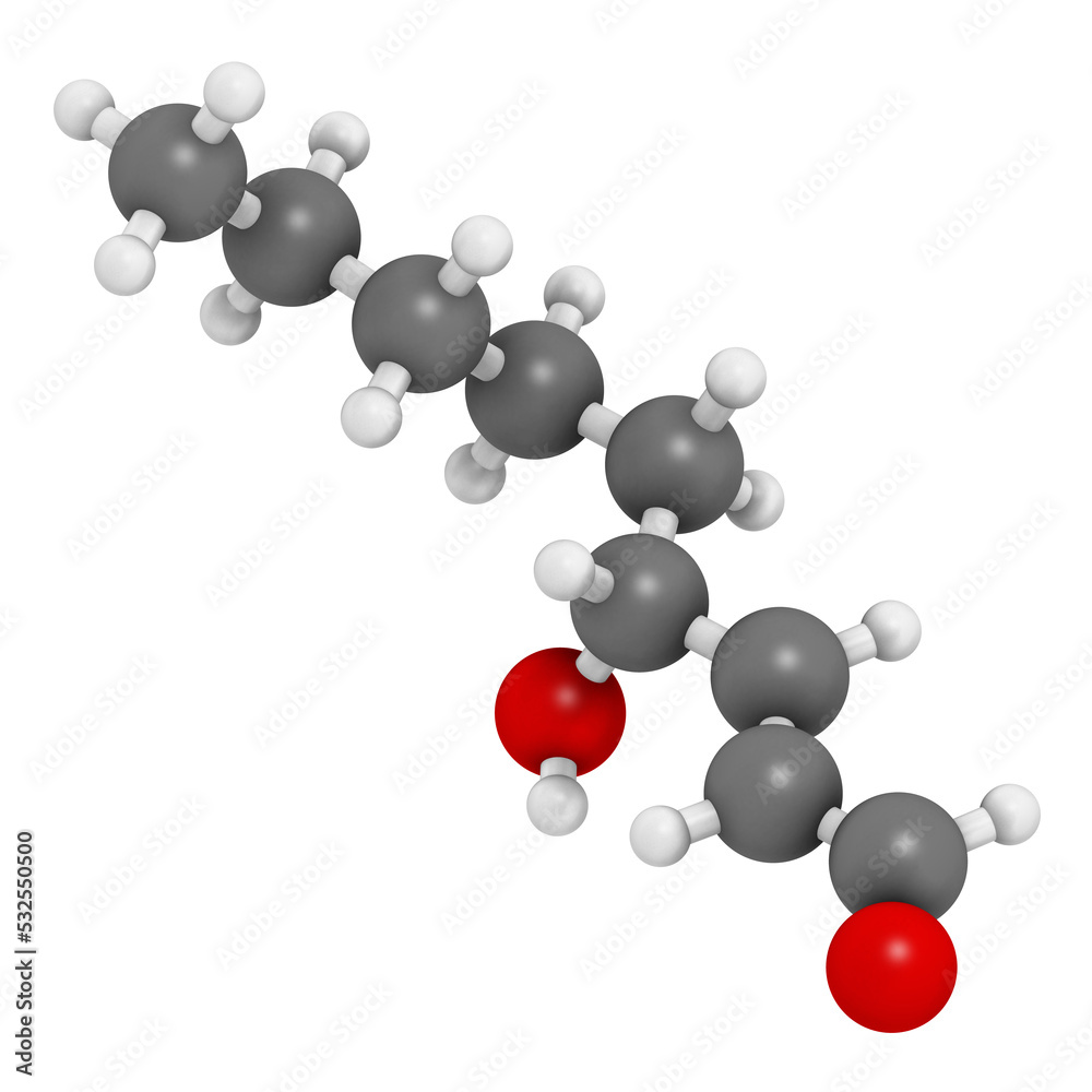 4-Hydroxynonenal (HNE) molecule. Metabolite produced by lipid peroxidation of polyunsaturated omega-6 fatty acids, 3D rendering. 4-Hydroxynonenal (HNE) molecule. Metabolite produced by lipid peroxidation of polyunsaturated omega-6 fatty acids, 3D rendering.