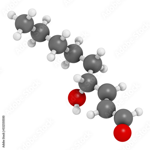 4-Hydroxynonenal (HNE) molecule. Metabolite produced by lipid peroxidation of polyunsaturated omega-6 fatty acids, 3D rendering. photo
