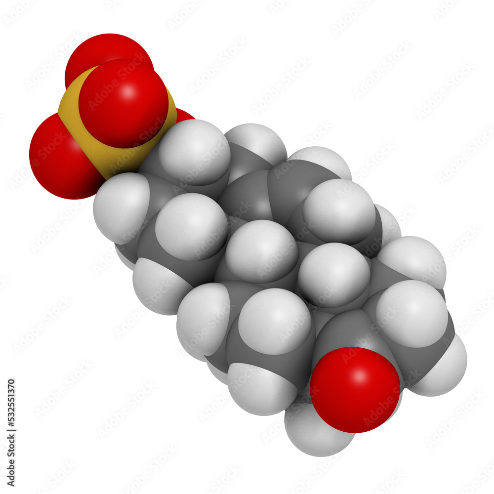Dehydroepiandrosterone sulfate (DHEA-S) natural hormone molecule, 3D rendering. Dehydroepiandrosterone sulfate (DHEA-S) natural hormone molecule, 3D rendering.