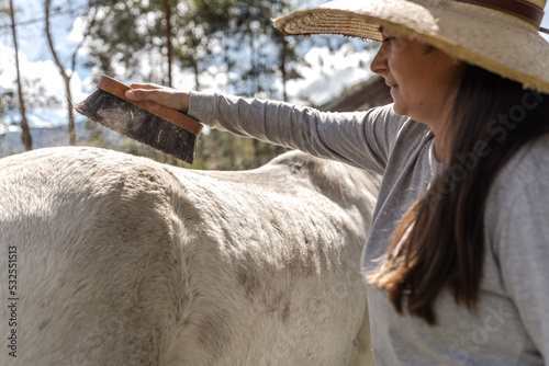 Woman Brushing Her Horse photo