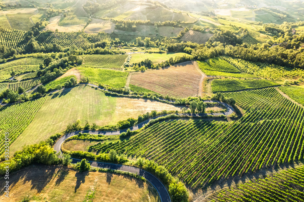 Aerial view of hills in Oltrepo' Pavese covered in vineyards and fields at sunset, Lombardy, Italy