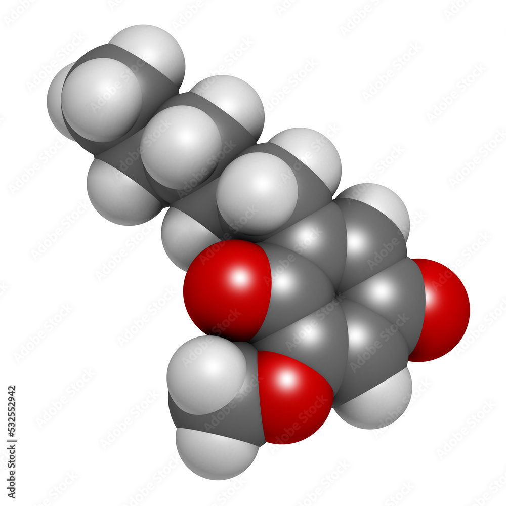 Primin primrose plant allergen molecule, 3D rendering. Primin primrose plant allergen molecule, 3D rendering.