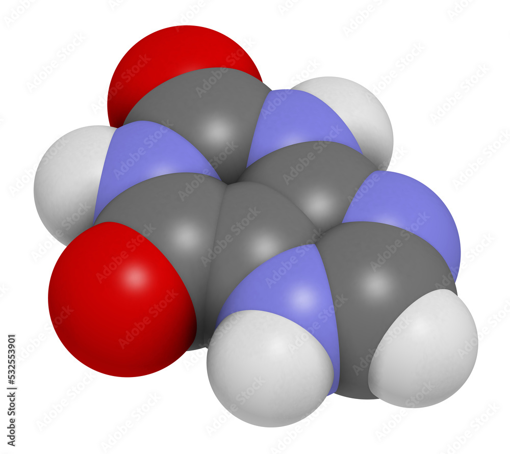 Xanthine purine base molecule, 3D rendering. Xanthine purine base molecule, 3D rendering.