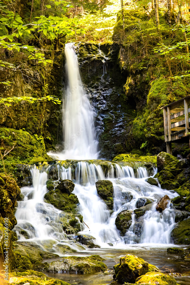 Obraz premium Scenic view of Dickson Falls in Fundy National Park Canada