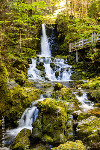 Scenic view of Dickson Falls in Fundy National Park Canada