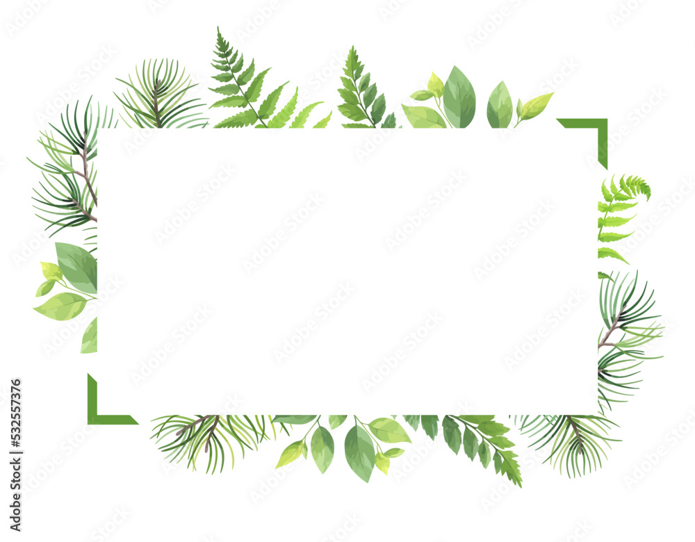 Greenery frame with pine, fern and wild herbs. Vector illustration.