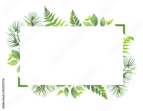 Greenery frame with pine  fern and wild herbs. Vector illustration.