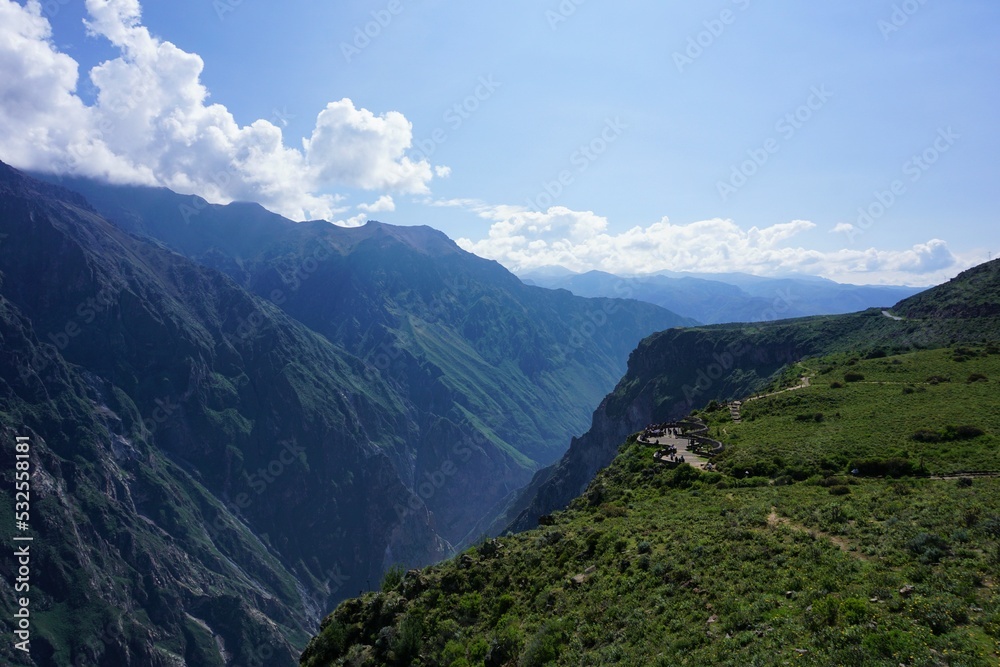 Condors in Colca canyon, Colca valley, Peru