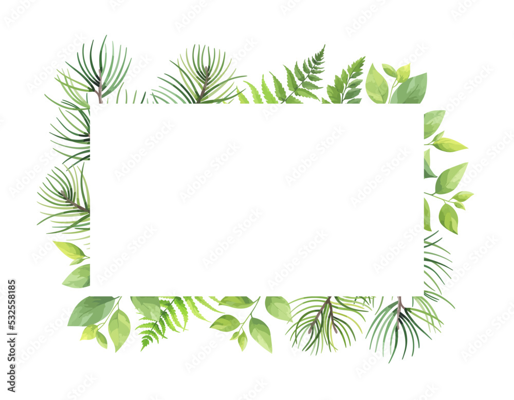 Greenery frame with pine, fern and wild herbs. Vector illustration. Greenery frame with pine, fern and wild herbs. Vector illustration.