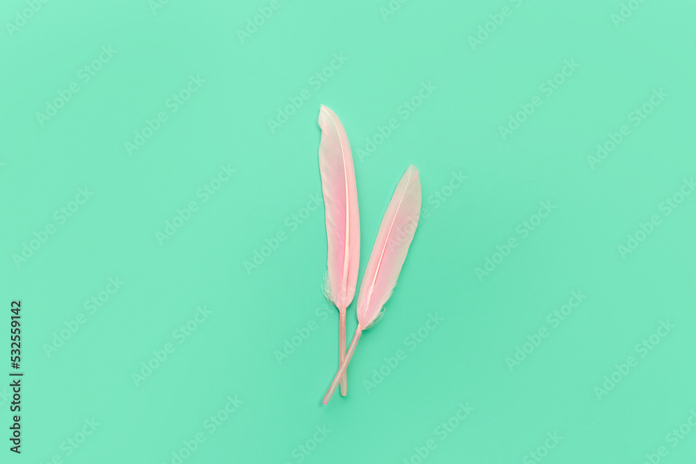 custom made wallpaper toronto digitalTwo pink feathers over green backdrop.