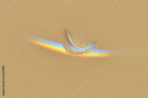 Rainbow over feather on yellow background. photo