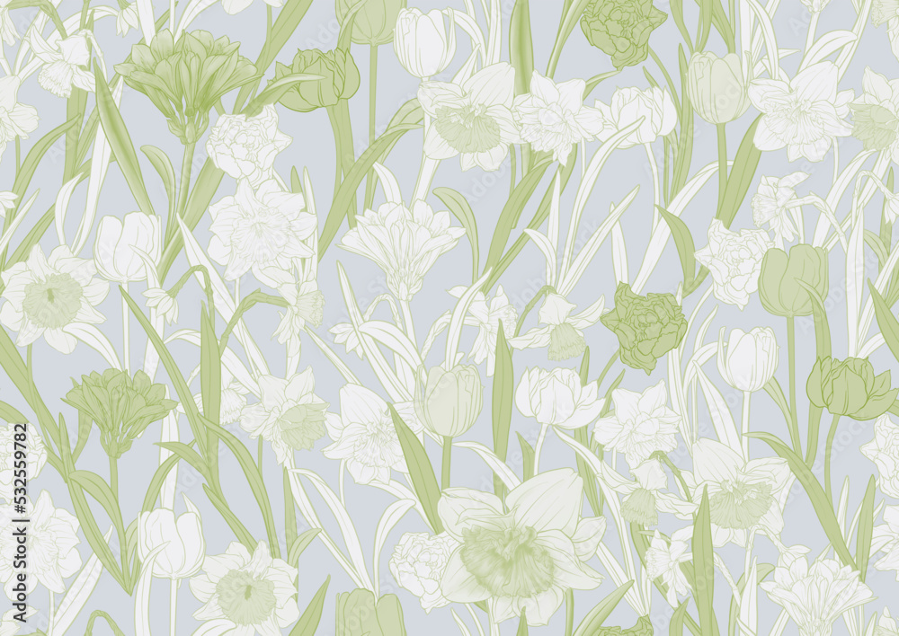 White daffodils and tulips flowers, the early spring flowers. Seamless pattern, background. Vector illustration. In botanical style