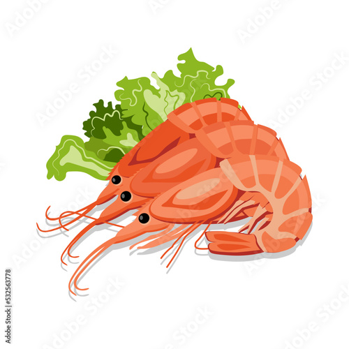 Tasty boiled shrimps on white background