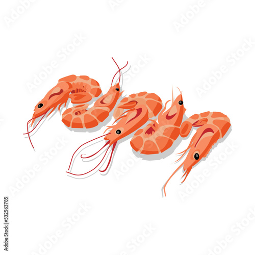 Tasty boiled shrimps on white background