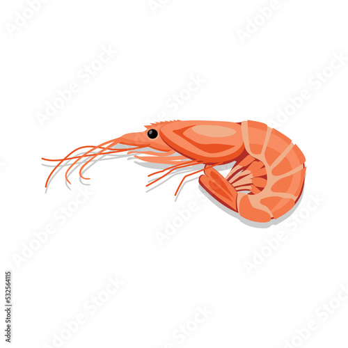 Tasty boiled shrimp on white background